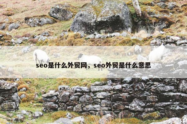 seo是什么外贸网，seo外贸是什么意思