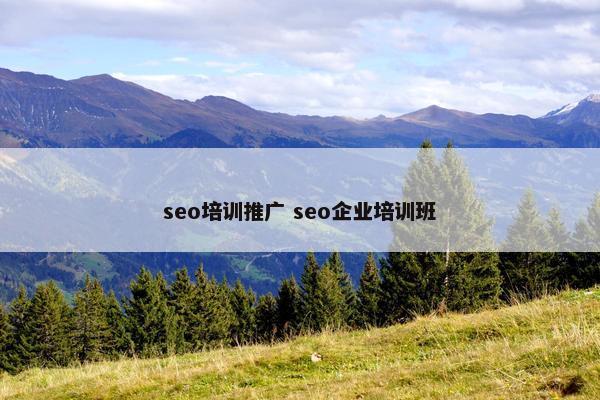 seo培训推广 seo企业培训班