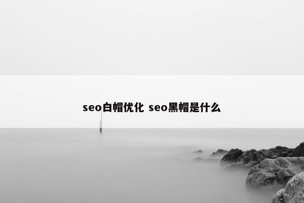 seo白帽优化 seo黑帽是什么