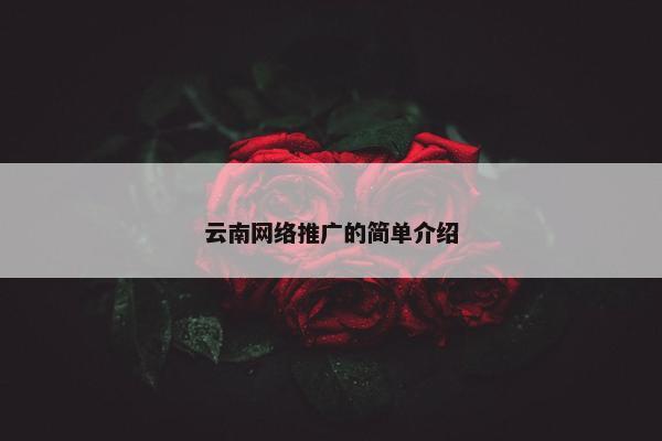 云南网络推广的简单介绍