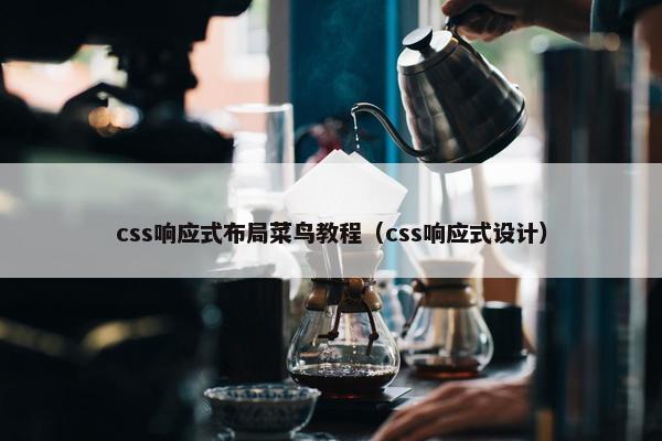 css响应式布局菜鸟教程（css响应式设计）