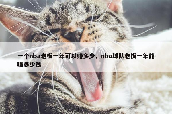 一个nba老板一年可以赚多少，nba球队老板一年能赚多少钱