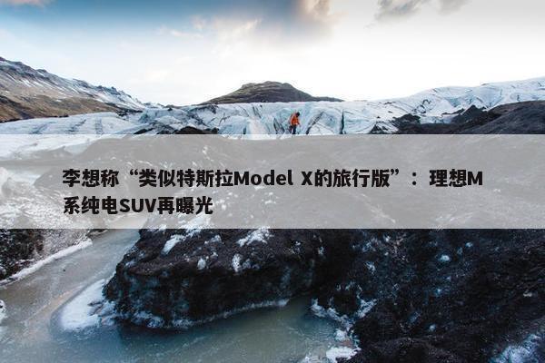 李想称“类似特斯拉Model X的旅行版”：理想M系纯电SUV再曝光