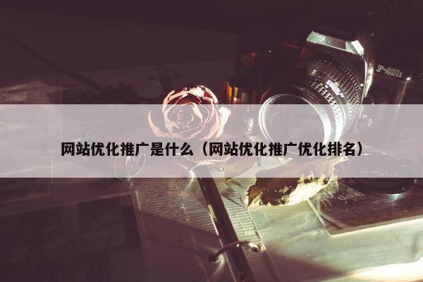 网站优化推广是什么（网站优化推广优化排名）