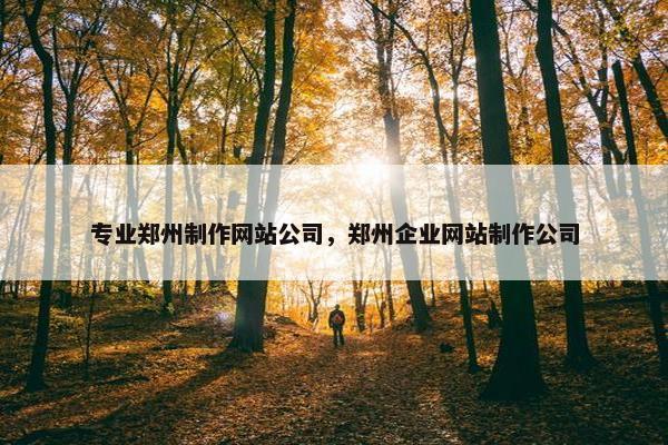 专业郑州制作网站公司，郑州企业网站制作公司