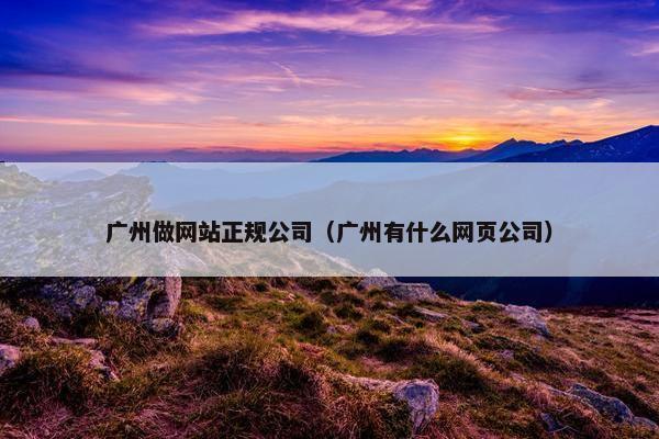 广州做网站正规公司（广州有什么网页公司）