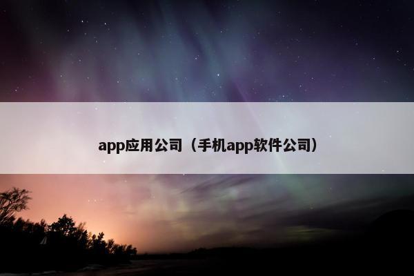 app应用公司（手机app软件公司）