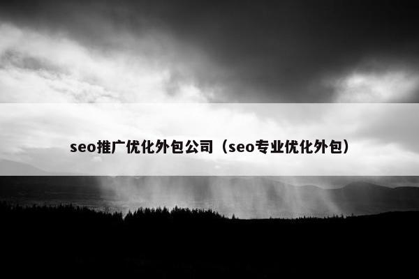 seo推广优化外包公司（seo专业优化外包）