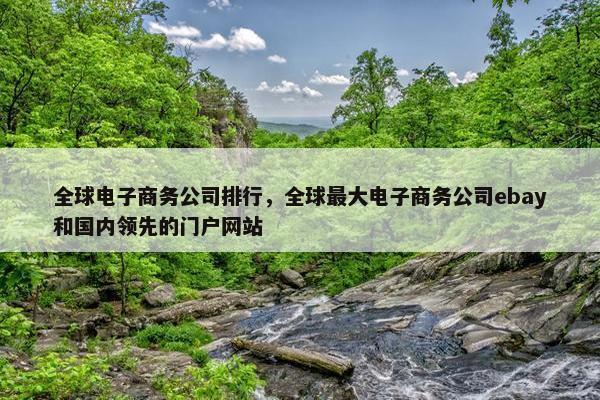 全球电子商务公司排行，全球最大电子商务公司ebay和国内领先的门户网站