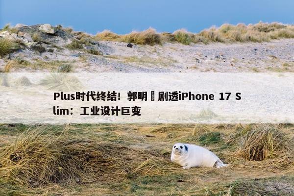 Plus时代终结！郭明錤剧透iPhone 17 Slim：工业设计巨变