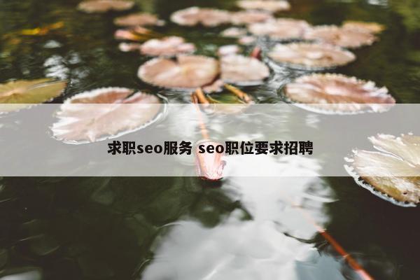 求职seo服务 seo职位要求招聘