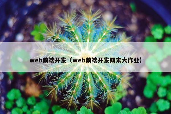 web前端开发（web前端开发期末大作业）