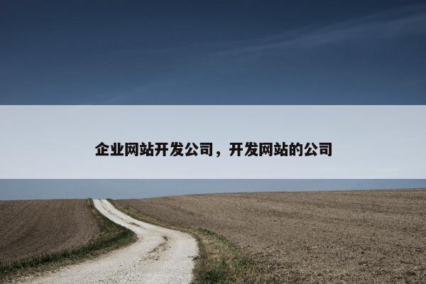 企业网站开发公司，开发网站的公司