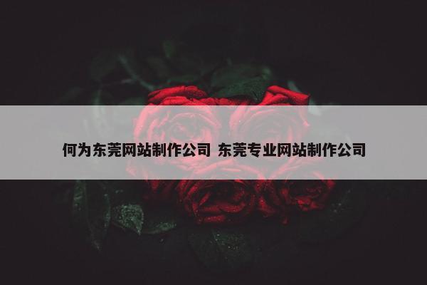 何为东莞网站制作公司 东莞专业网站制作公司