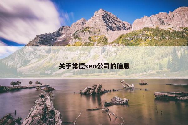 关于常德seo公司的信息