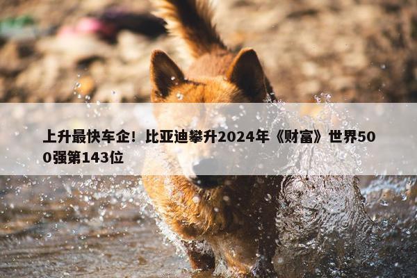 上升最快车企！比亚迪攀升2024年《财富》世界500强第143位