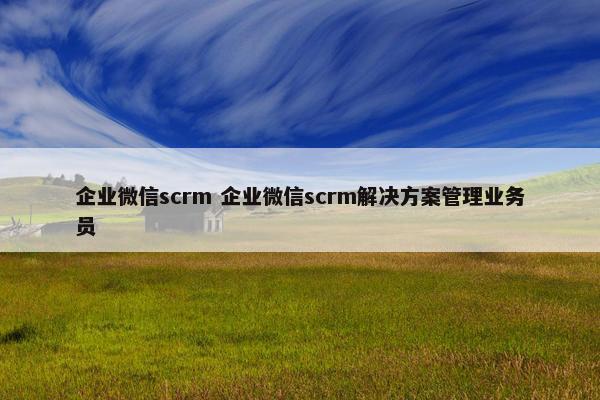 企业微信scrm 企业微信scrm解决方案管理业务员