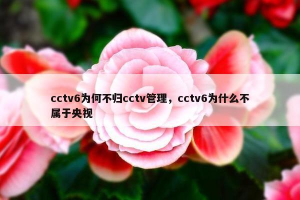 cctv6为何不归cctv管理，cctv6为什么不属于央视