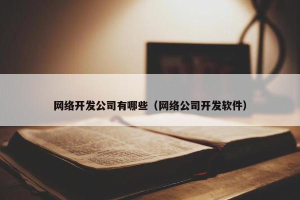 网络开发公司有哪些（网络公司开发软件）