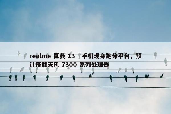 realme 真我 13   手机现身跑分平台，预计搭载天玑 7300 系列处理器