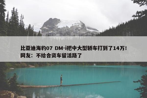 比亚迪海豹07 DM-i把中大型轿车打到了14万！网友：不给合资车留活路了