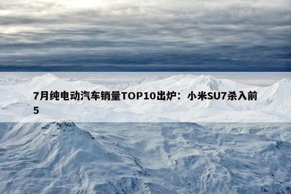 7月纯电动汽车销量TOP10出炉：小米SU7杀入前5