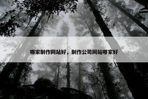 哪家制作网站好，制作公司网站哪家好