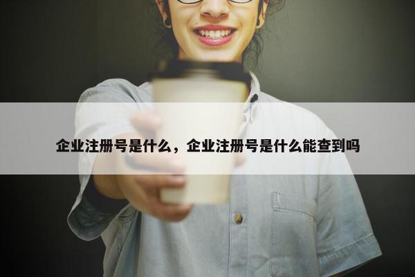 企业注册号是什么，企业注册号是什么能查到吗