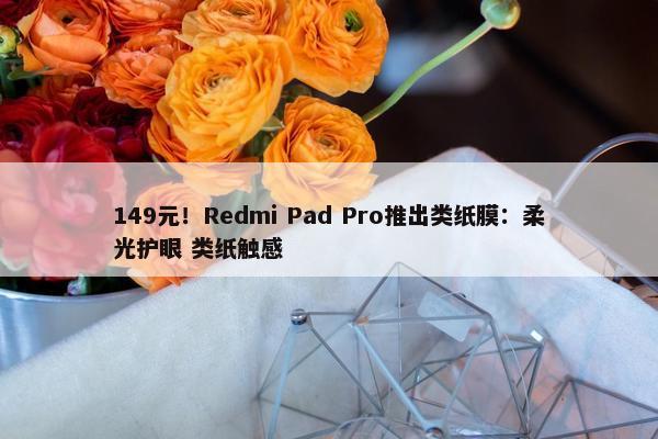 149元！Redmi Pad Pro推出类纸膜：柔光护眼 类纸触感