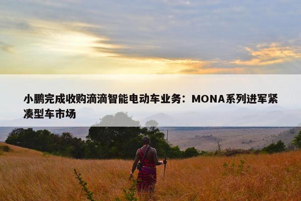 小鹏完成收购滴滴智能电动车业务：MONA系列进军紧凑型车市场