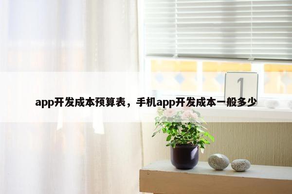 app开发成本预算表，手机app开发成本一般多少