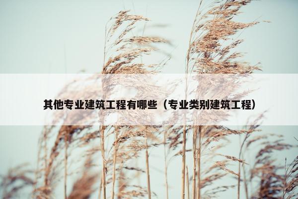 其他专业建筑工程有哪些（专业类别建筑工程）