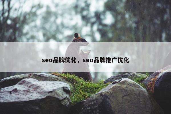 seo品牌优化，seo品牌推广优化