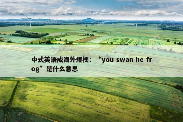 中式英语成海外爆梗：“you swan he frog”是什么意思