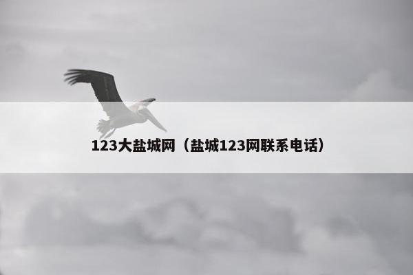 123大盐城网（盐城123网联系电话）