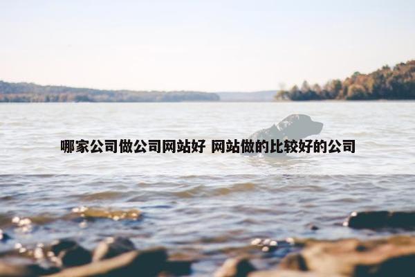 哪家公司做公司网站好 网站做的比较好的公司