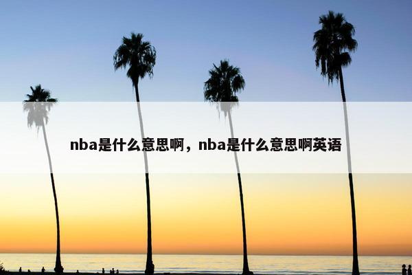 nba是什么意思啊，nba是什么意思啊英语