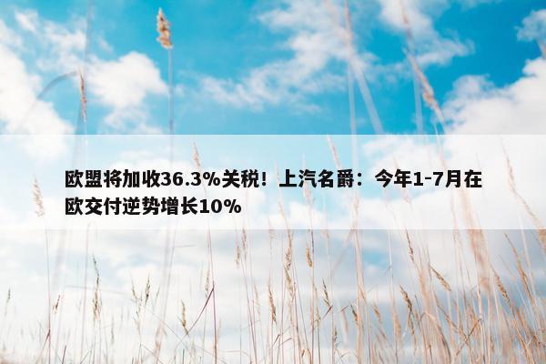 欧盟将加收36.3%关税！上汽名爵：今年1-7月在欧交付逆势增长10%