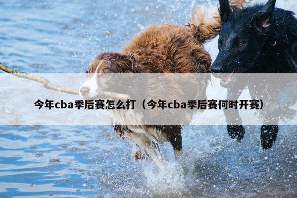 今年cba季后赛怎么打（今年cba季后赛何时开赛）