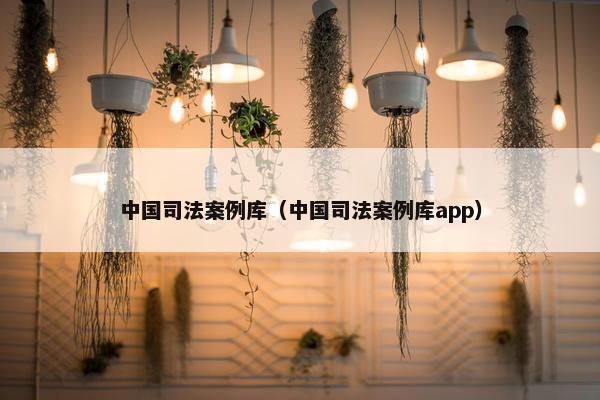 中国司法案例库（中国司法案例库app）