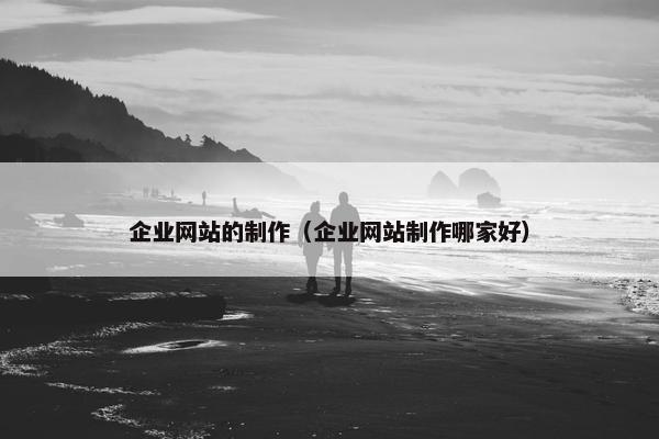 企业网站的制作（企业网站制作哪家好）