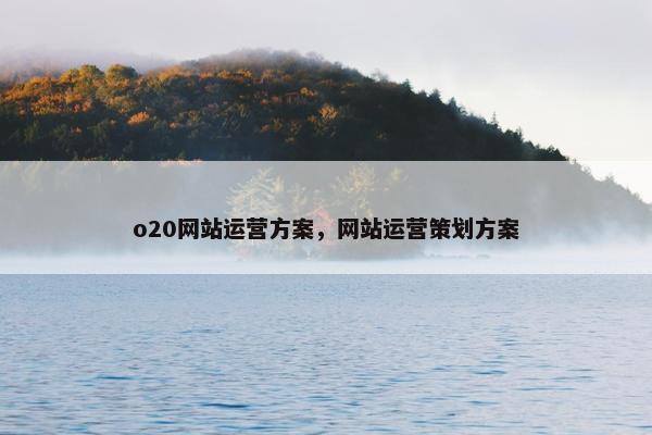 o20网站运营方案，网站运营策划方案