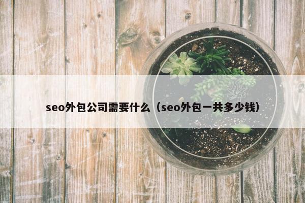 seo外包公司需要什么（seo外包一共多少钱）