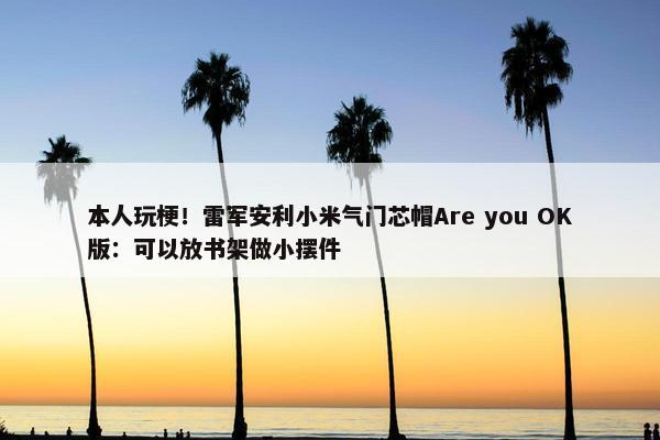 本人玩梗！雷军安利小米气门芯帽Are you OK版：可以放书架做小摆件