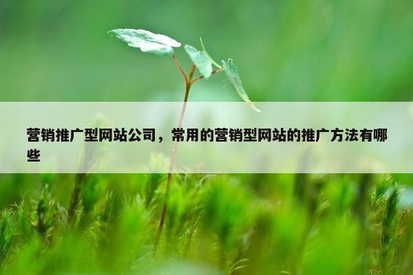 营销推广型网站公司，常用的营销型网站的推广方法有哪些