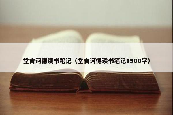 堂吉诃德读书笔记（堂吉诃德读书笔记1500字）