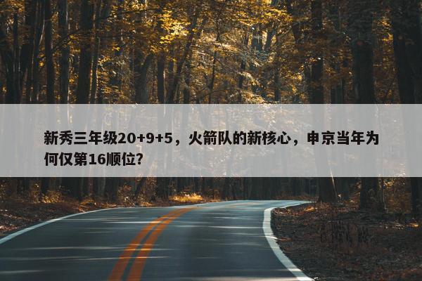 新秀三年级20+9+5，火箭队的新核心，申京当年为何仅第16顺位？