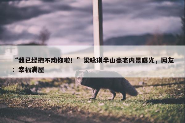 “我已经抱不动你啦！”梁咏琪半山豪宅内景曝光，网友：幸福满屋