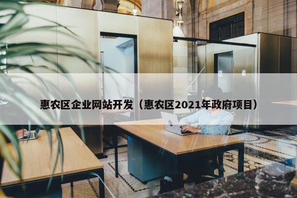 惠农区企业网站开发（惠农区2021年政府项目）