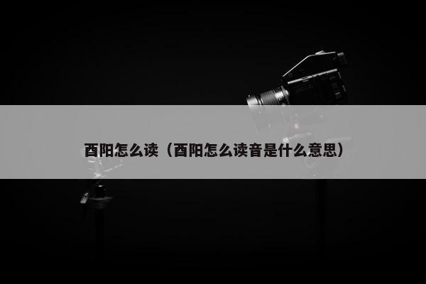 酉阳怎么读（酉阳怎么读音是什么意思）